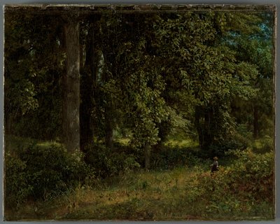 Tulip trees, 1859 by William Trost Richards